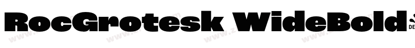 RocGrotesk WideBold字体转换